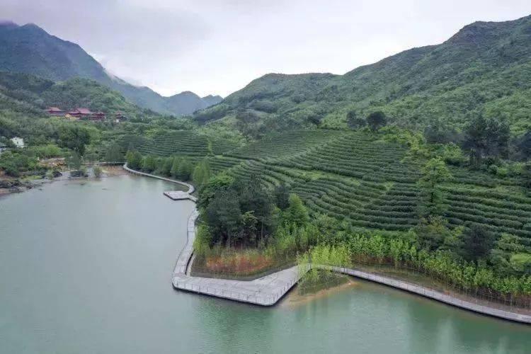黄大仙正版资料网站,黄大仙正版资料网站，历史背景、功能特点与用户使用指南