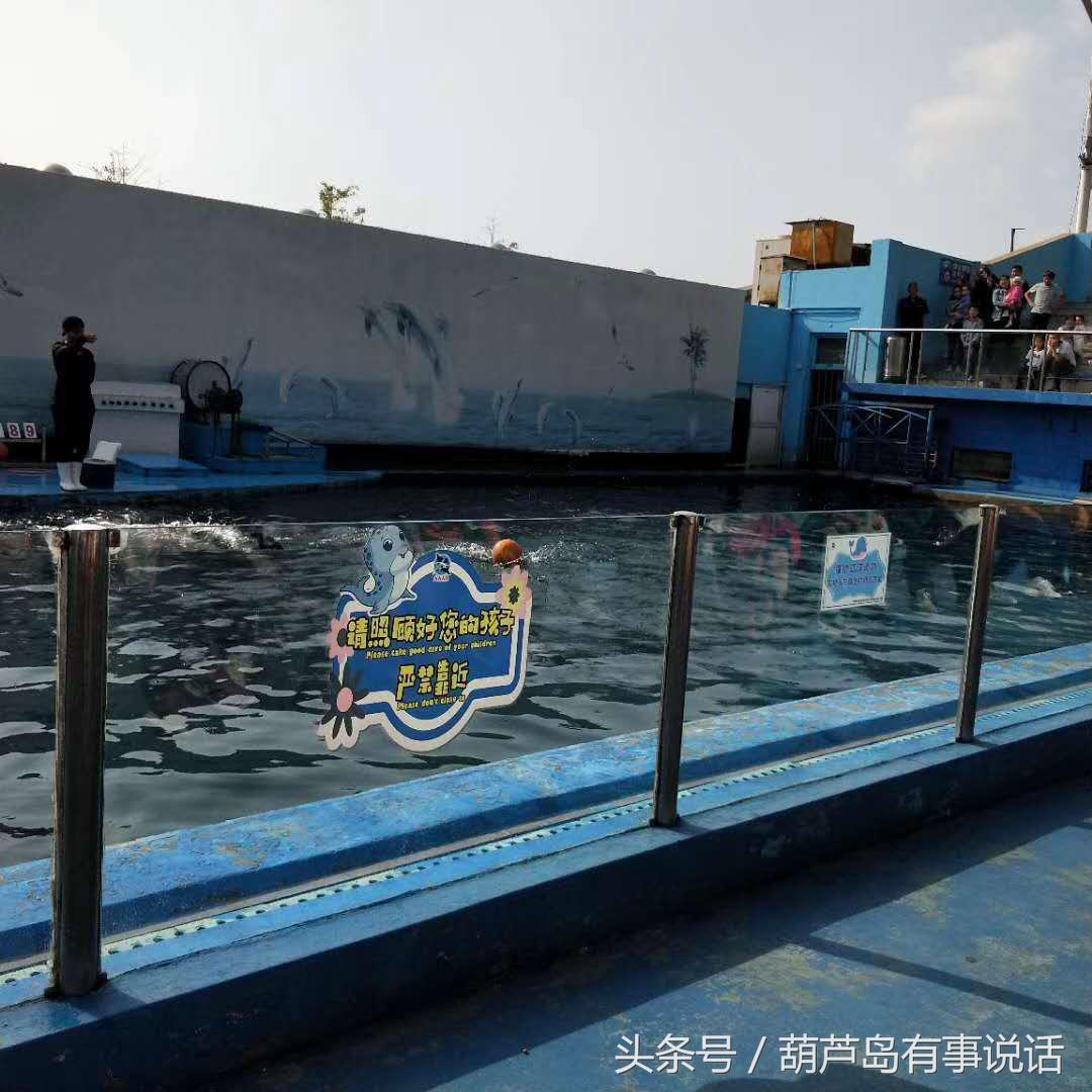 新澳天天彩免费资料,新澳天天彩免费资料，探索与理解