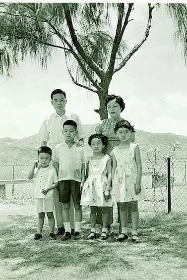 香港和澳门开奖结果,香港与澳门开奖结果，彩票背后的文化与社会现象