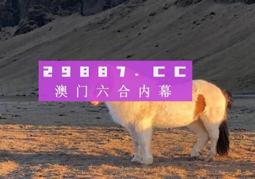 新澳门4949六开彩,新澳门4949六开彩的魅力与探索
