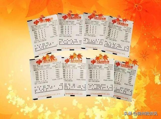 新澳天天彩免费资料2025老,新澳天天彩免费资料与未来展望，走向2025年的老彩民心得