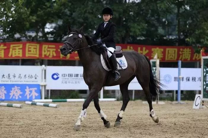 香港今晚开什么特马,香港今晚开什么特马，探索马术运动与香港的深厚渊源