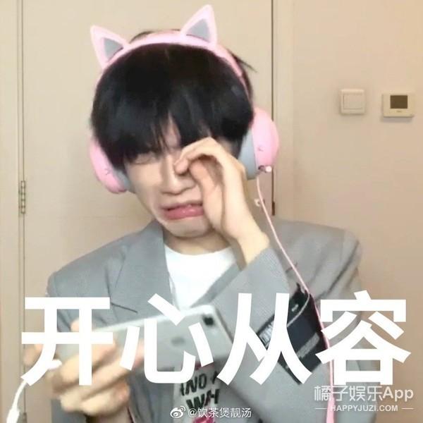 四不像正版+正版四不像2023,四不像正版与正版四不像，探索与反思的交汇点（2023年）