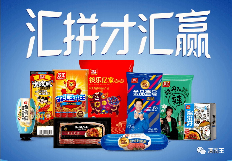 2025新澳门王中王正版,探索2025新澳门王中王正版，未来之城的无限可能