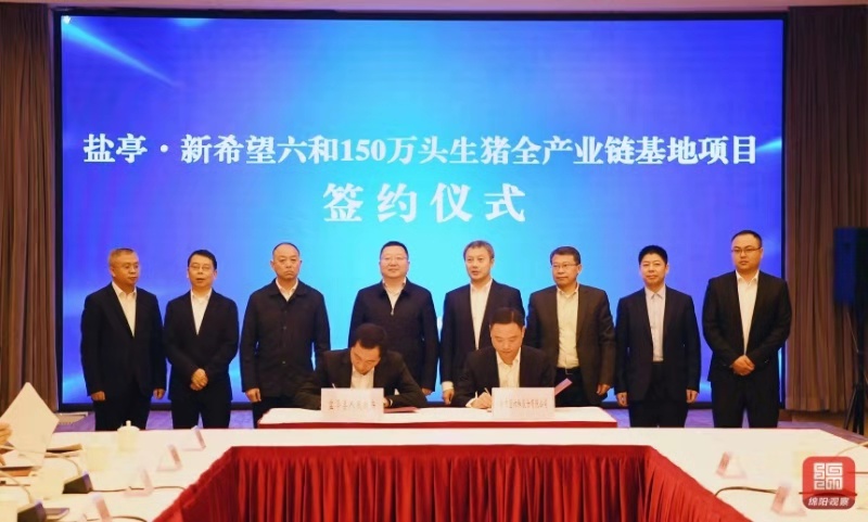 六和彩资料有哪些网址可以看,探索六和彩资料，如何获取相关网址与资源