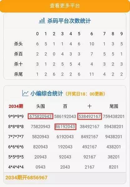 今晚澳门码特开什么号码,今晚澳门码特开什么号码——探索随机性与预测的边缘