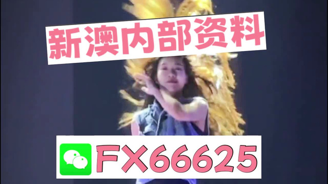 新澳门内部一码最精准公开,新澳门内部一码最精准公开，探索真相与理解数字世界的魅力
