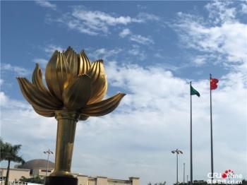 澳门49开奖现场直播特色,澳门49开奖现场直播特色，探索彩票直播的魅力与独特之处