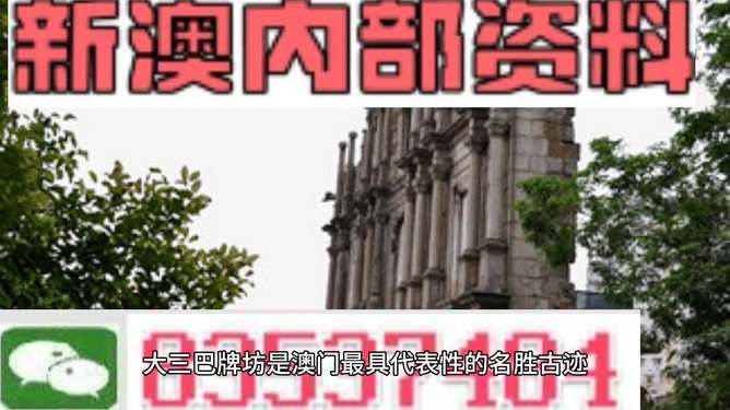 新噢门全年免费资新奥精准资料,新澳门全年免费资讯与精准资料的重要性