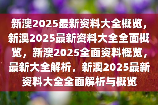 新澳2025年正版资料,新澳2025年正版资料深度解析