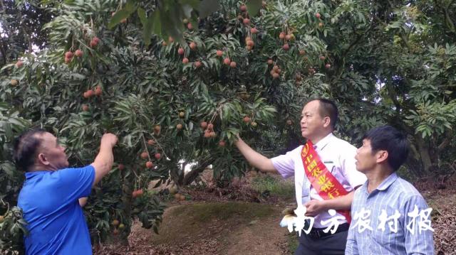 2025香港资料免费大全最新版下载,香港资料免费大全最新版下载，探索与启示（2025视角）